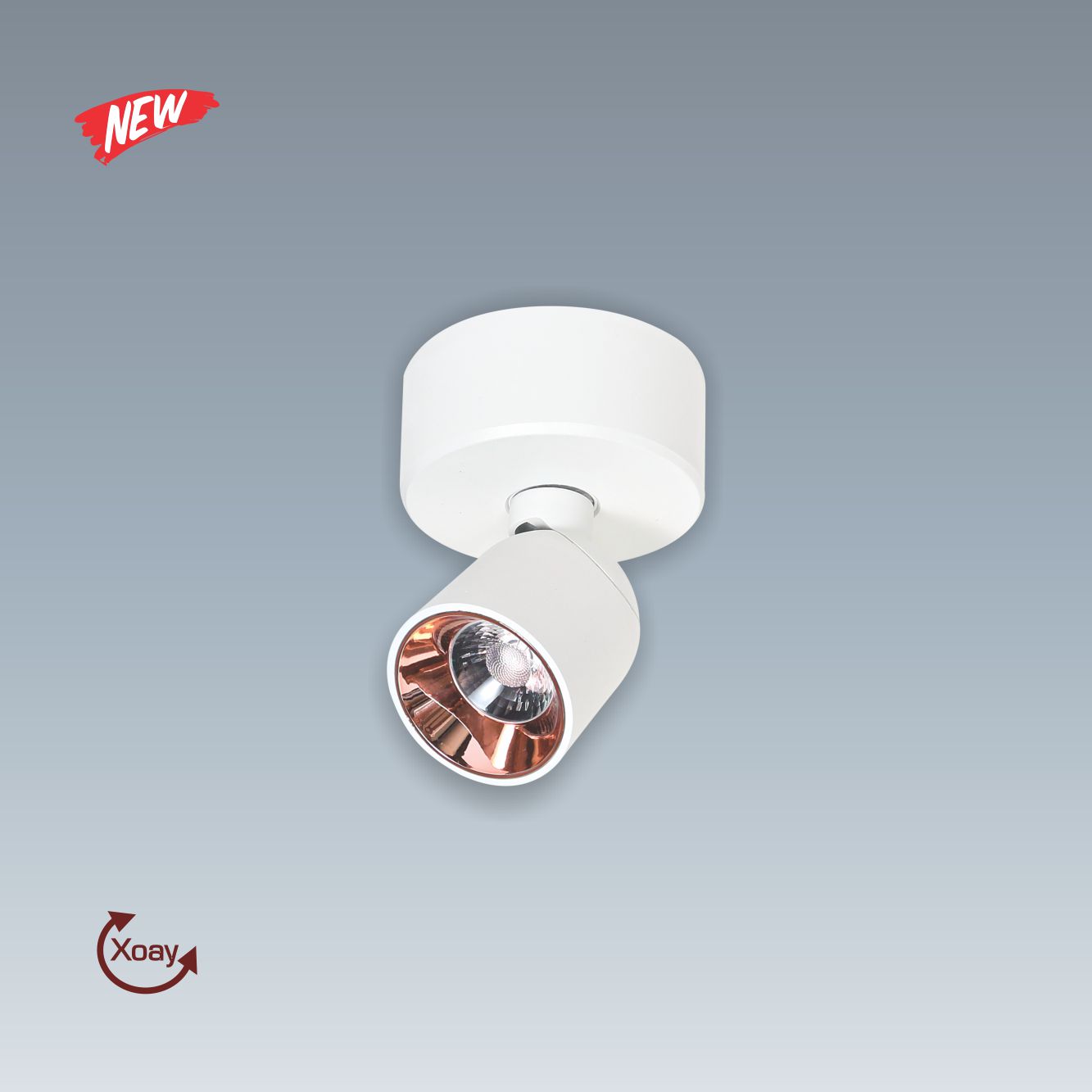 Bảng giá đèn led Anfaco 2024 103