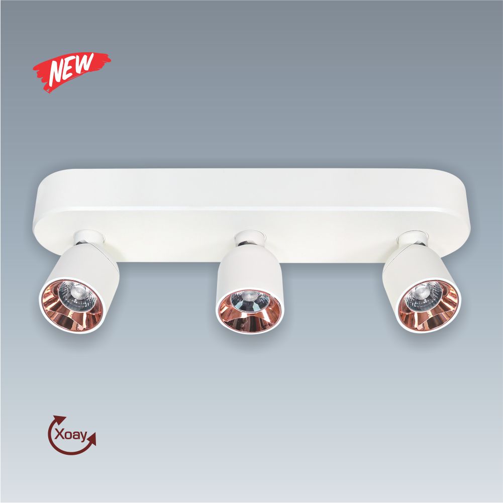 Bảng giá đèn led Anfaco 2024 107