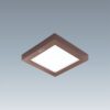 AFC 556 Nâu LED 6W 1