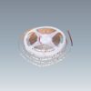 Dây LED Dán 24V - 12W/m 2